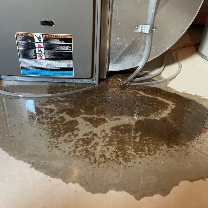 Appliance Leak Cleanup in Parker City, IN